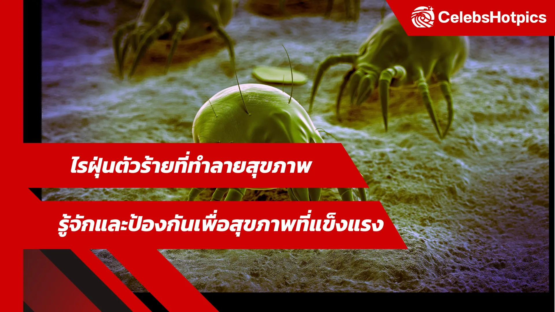 Dust mites ไรฝุ่น